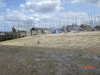 Whitstable Aug 09